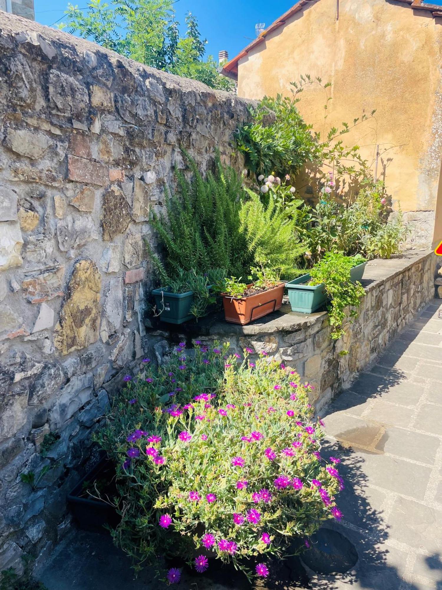 “Da Paolino” Vila Borgo alla Collina Exterior foto